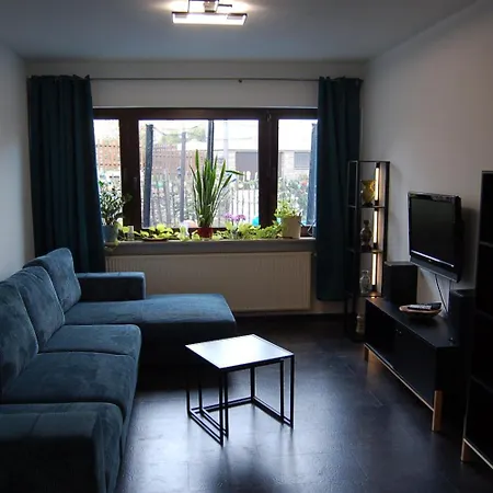 Проживание в семье Niederburger *