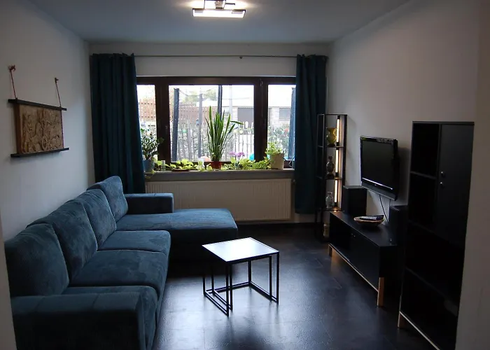 Проживание в семье Niederburger *